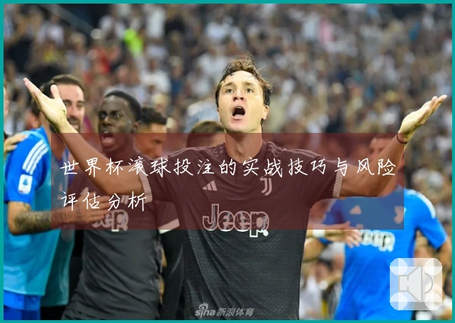 世界杯滚球投注的实战技巧与风险评估分析
