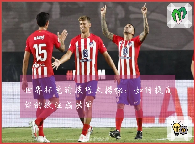 世界杯竞猜技巧大揭秘，如何提高你的投注成功率