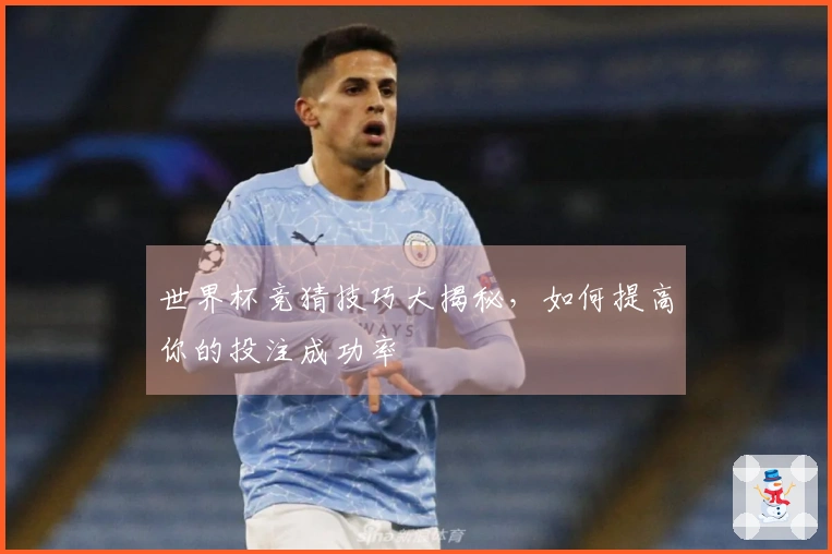 世界杯竞猜技巧大揭秘，如何提高你的投注成功率