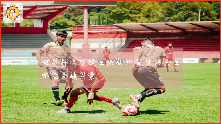世界杯买球投注热潮升温 你该关注哪些关键因素