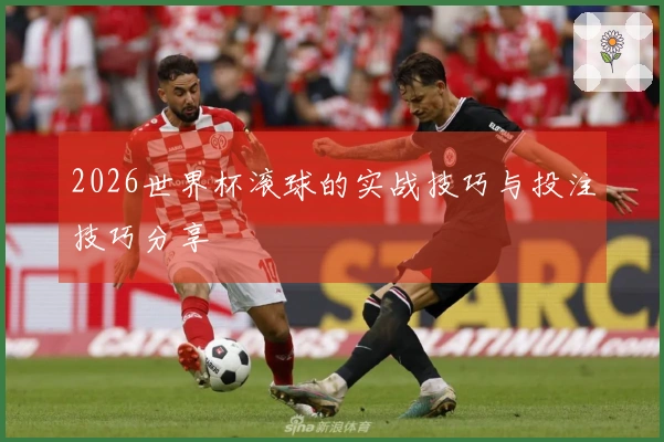 2026世界杯滚球的实战技巧与投注技巧分享