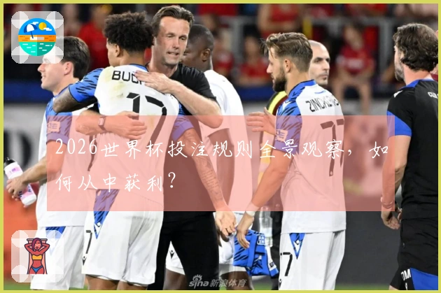 2026世界杯投注规则全景观察，如何从中获利？