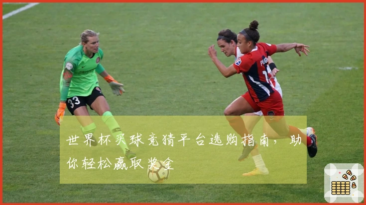 世界杯买球竞猜平台选购指南,助你轻松赢取奖金