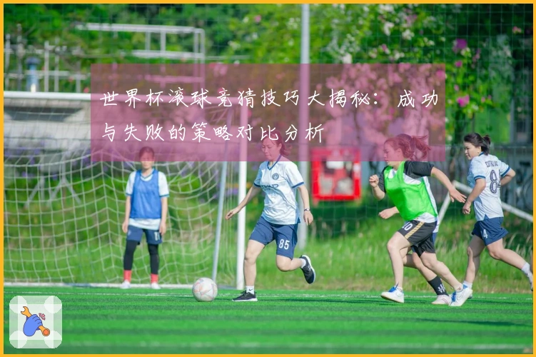 世界杯滚球竞猜技巧大揭秘：成功与失败的策略对比分析
