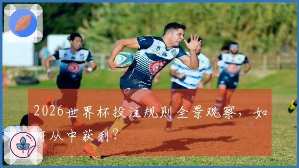 2026世界杯投注规则全景观察,如何从中获利?