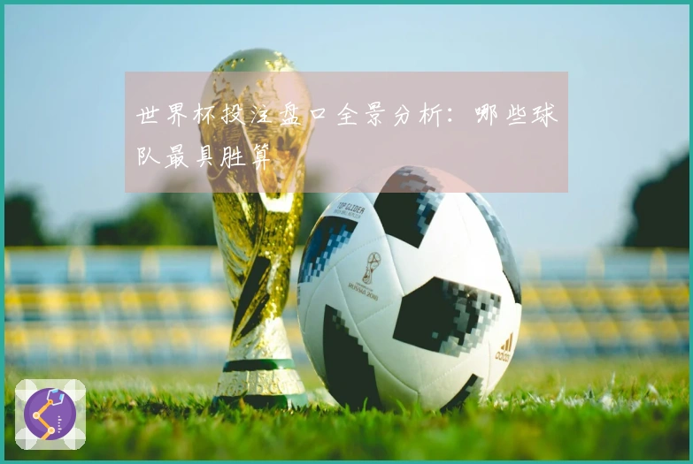 世界杯投注盘口全景分析：哪些球队最具胜算