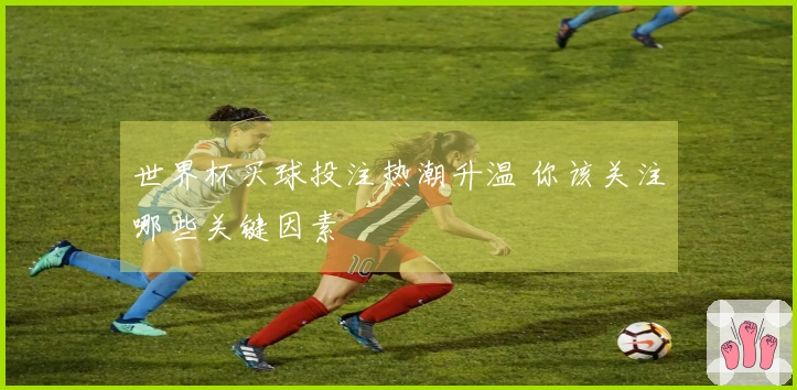 世界杯买球投注热潮升温 你该关注哪些关键因素